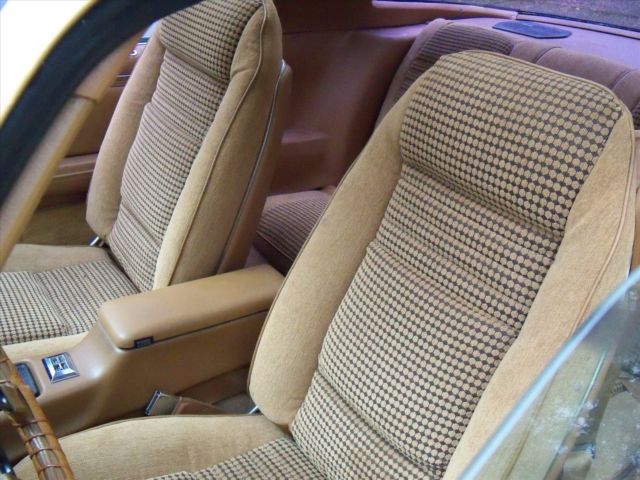 1979 Pontiac Trans Am SE Macho T/A - photo 6