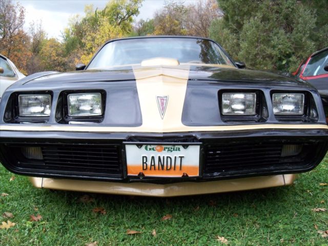 1979 Pontiac Trans Am SE Macho T/A - photo 8