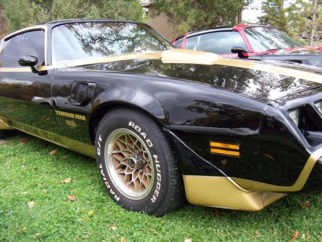 1979 Pontiac Trans Am SE Macho T/A - photo 9