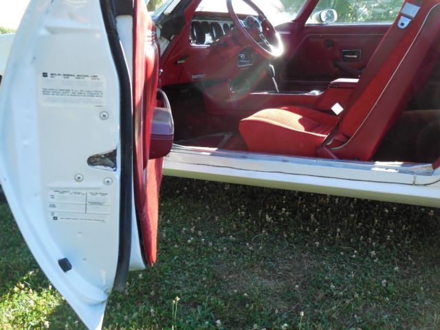 1979 Pontiac Trans Am - photo 8