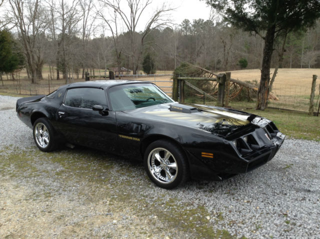 1979 Pontiac Trans Am - photo 2