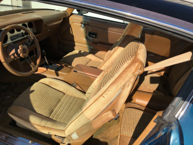 1979 Pontiac Trans Am - photo 13