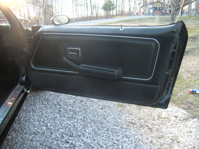 1979 Pontiac Trans Am - photo 7