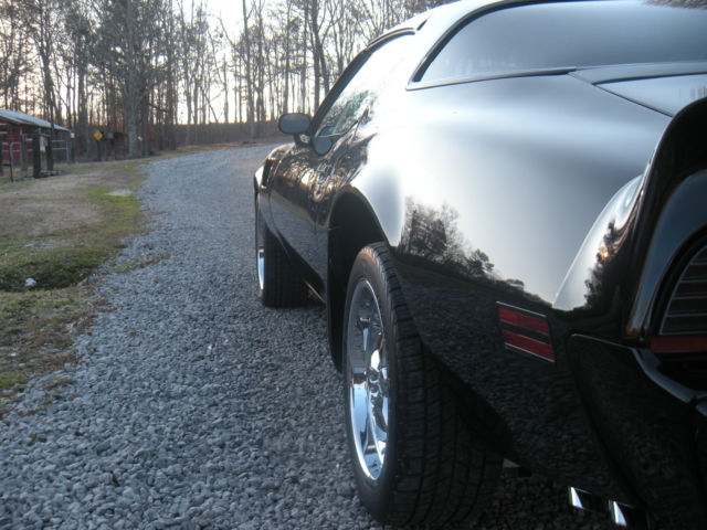 1979 Pontiac Trans Am - photo 9