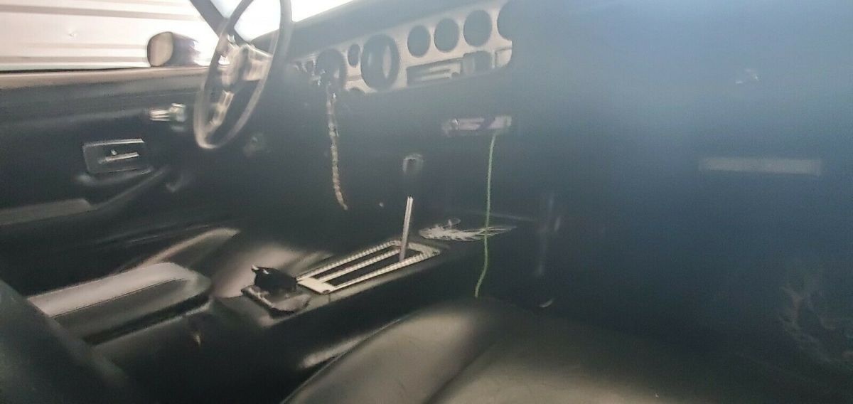 1979 Pontiac Trans Am - photo 3