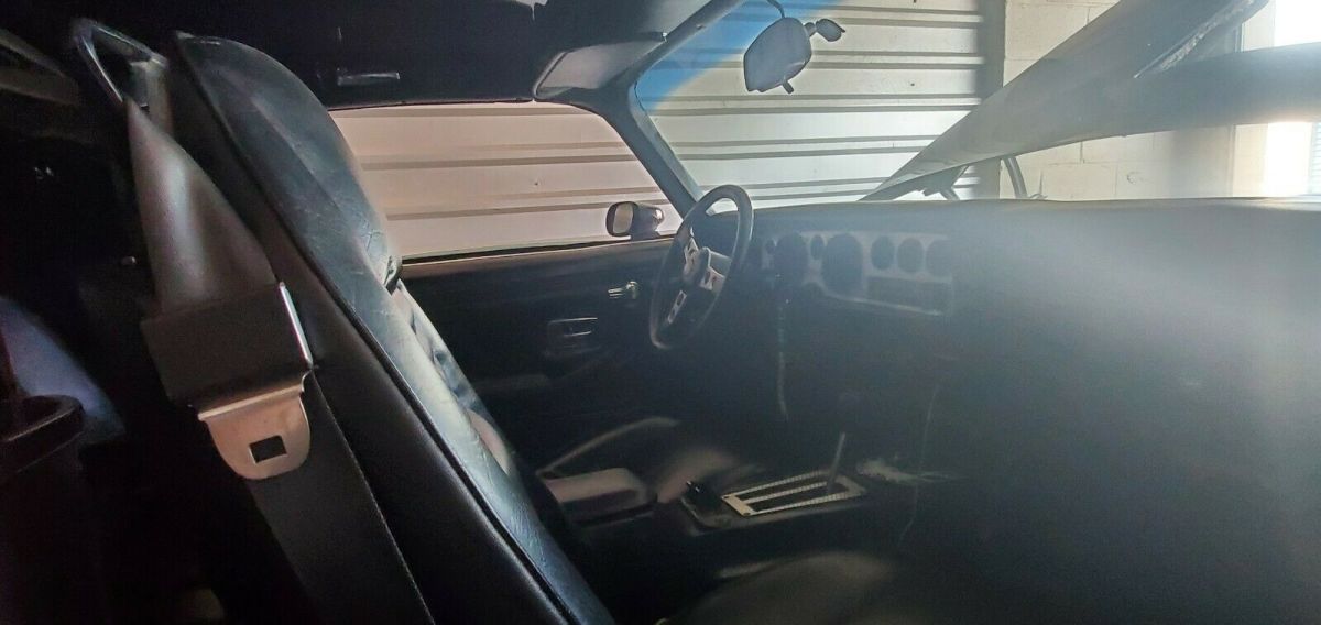 1979 Pontiac Trans Am - photo 4