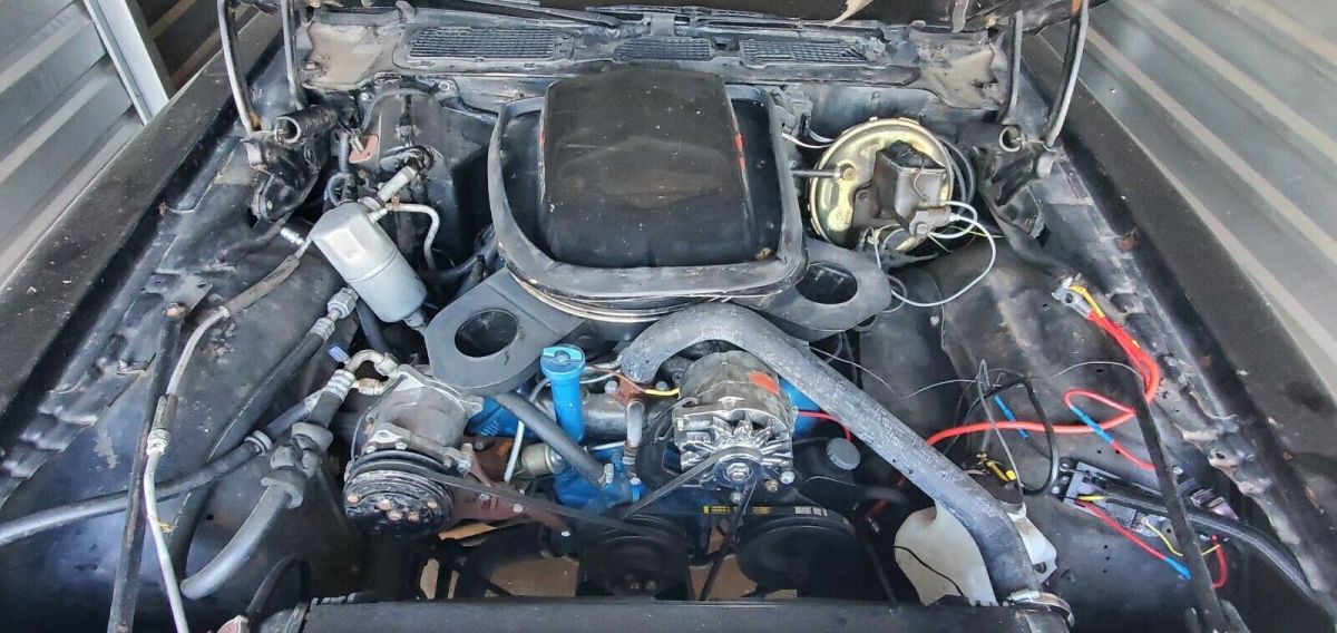 1979 Pontiac Trans Am - photo 5