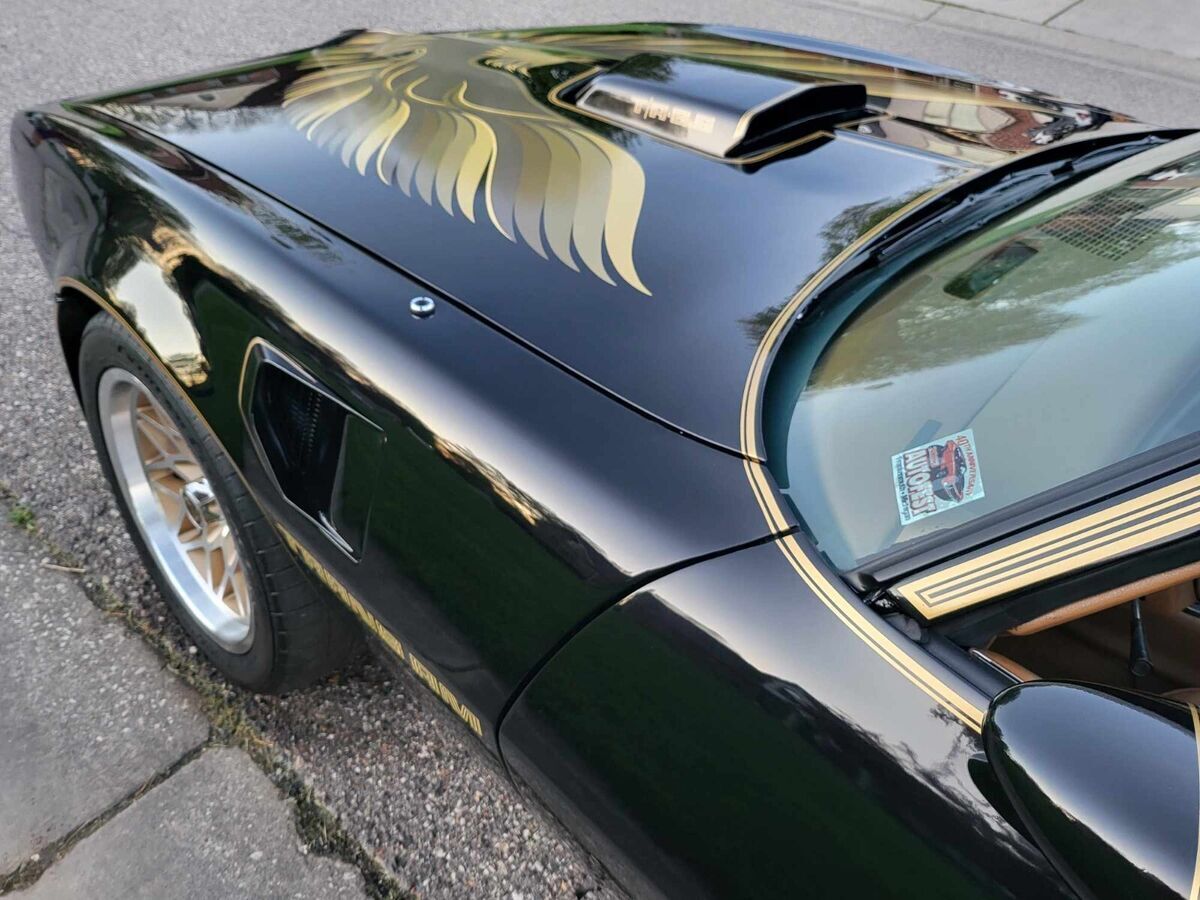 1979 Pontiac Trans Am TRANS AM - photo 10