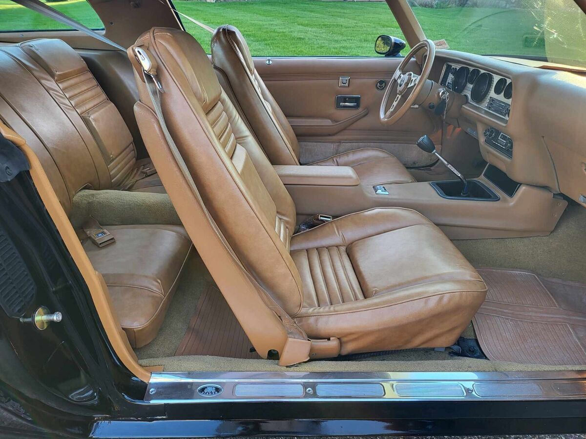 1979 Pontiac Trans Am TRANS AM - photo 13