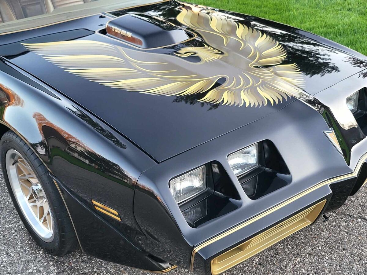1979 Pontiac Trans Am TRANS AM - photo 9
