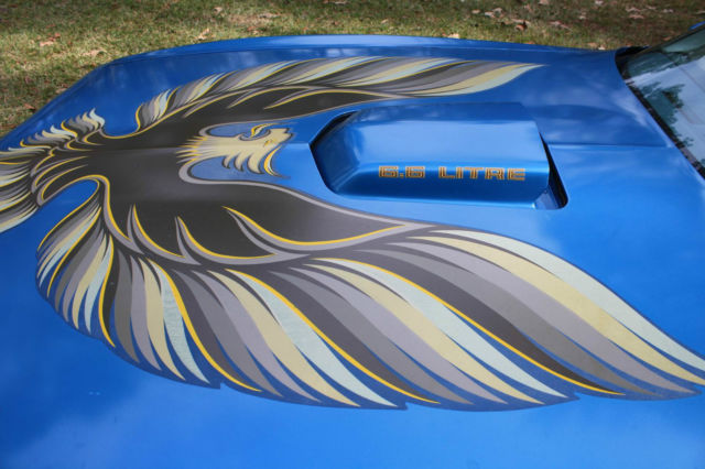 1979 Pontiac Trans Am - photo 9