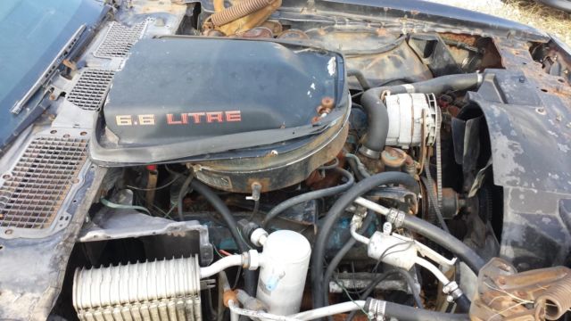 1979 Pontiac Trans Am - photo 11