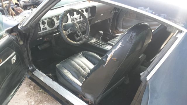 1979 Pontiac Trans Am - photo 12