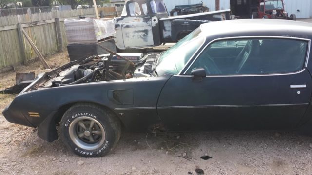 1979 Pontiac Trans Am - photo 9