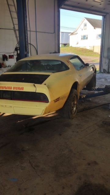 1979 Pontiac Trans Am - photo 3