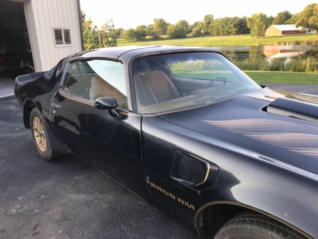 1979 Pontiac Trans Am Special Edition Y84 - photo 12