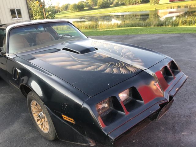 1979 Pontiac Trans Am Special Edition Y84 - photo 13