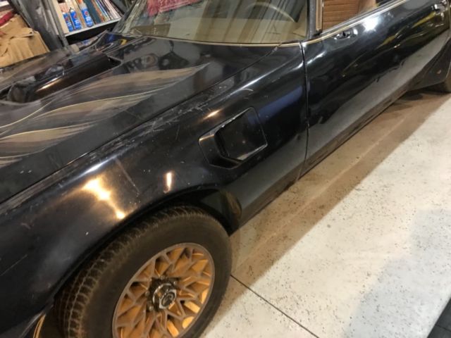 1979 Pontiac Trans Am Special Edition Y84 - photo 2