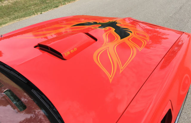 1979 Pontiac Trans Am - photo 8