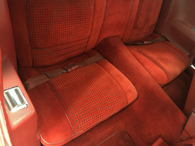 1979 Pontiac Trans Am - photo 9