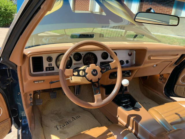 1979 Pontiac Trans Am - photo 13