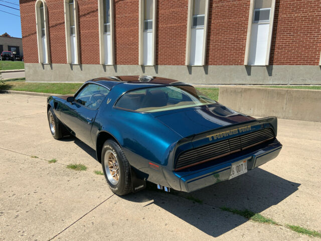 1979 Pontiac Trans Am - photo 4