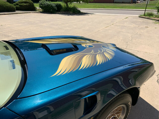 1979 Pontiac Trans Am - photo 6