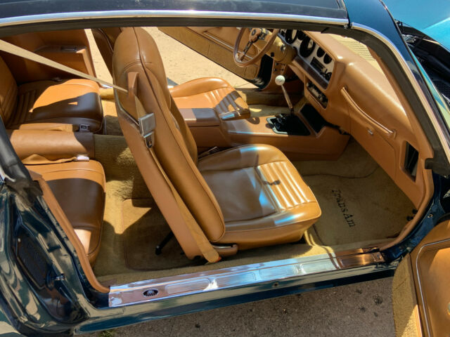 1979 Pontiac Trans Am - photo 9