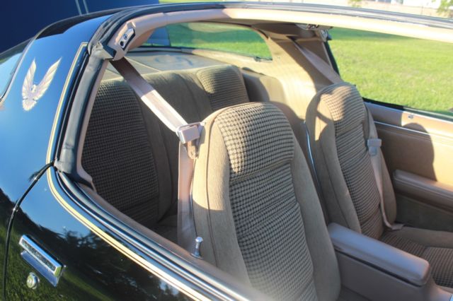 1979 Pontiac Trans Am Special Edition - photo 10