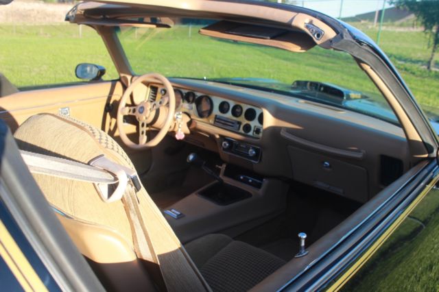 1979 Pontiac Trans Am Special Edition - photo 11