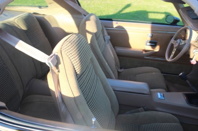 1979 Pontiac Trans Am Special Edition - photo 12