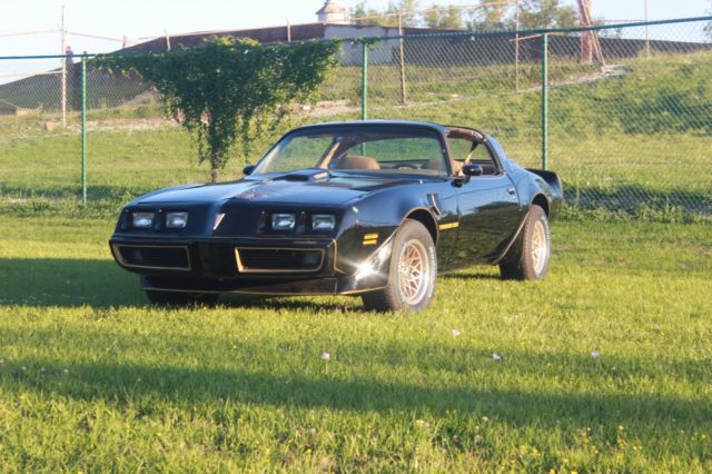 1979 Pontiac Trans Am Special Edition - photo 13