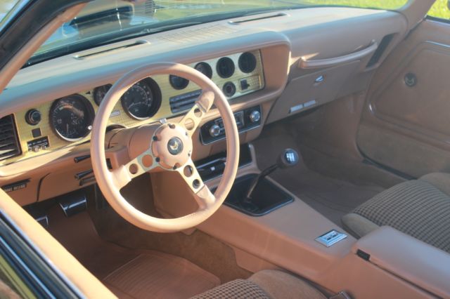 1979 Pontiac Trans Am Special Edition - photo 3