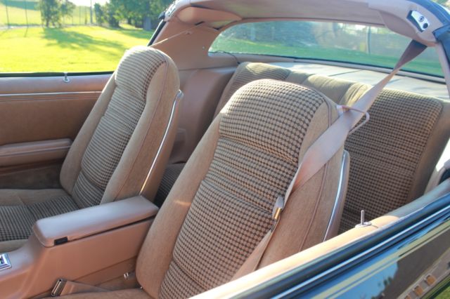1979 Pontiac Trans Am Special Edition - photo 4