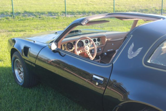 1979 Pontiac Trans Am Special Edition - photo 5
