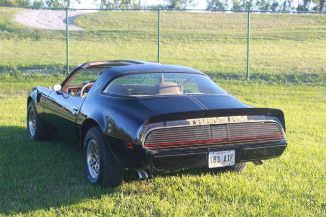1979 Pontiac Trans Am Special Edition - photo 6