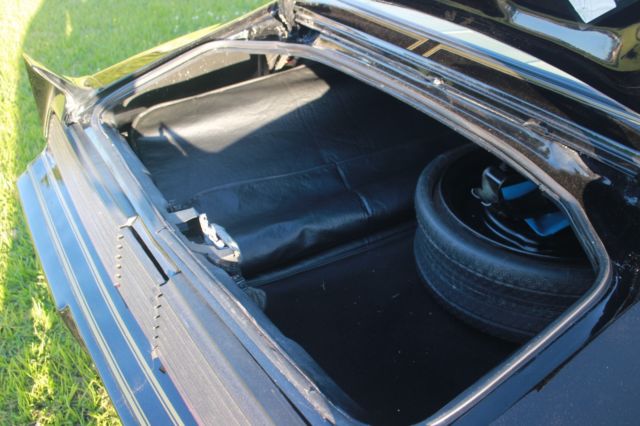 1979 Pontiac Trans Am Special Edition - photo 7