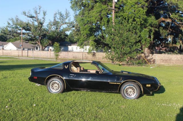 1979 Pontiac Trans Am Special Edition - photo 9