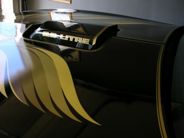 1979 Pontiac Trans Am SPECIAL EDITION - photo 6