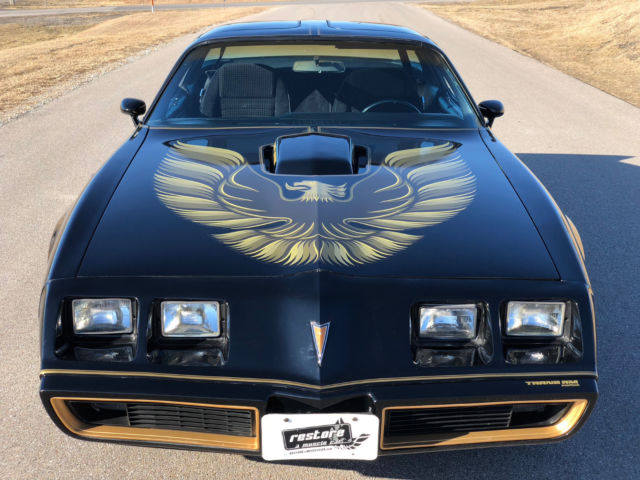 1979 Pontiac Trans Am - Survivor Y84 Special Edition - photo 2