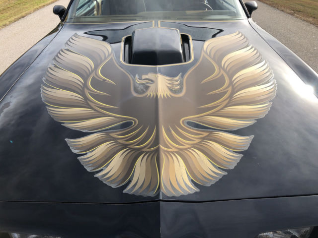 1979 Pontiac TransAm SE, WS6, W72 TA 6.6 - 4 Speed / 1 of 1107, Loaded - photo 3