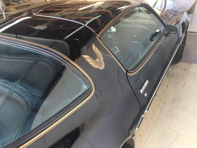 1979 Pontiac Trans Am - photo 7