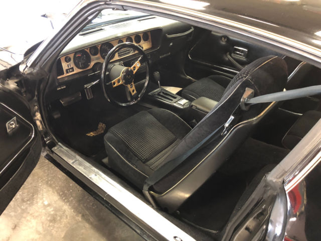 1979 Pontiac Trans Am - photo 8