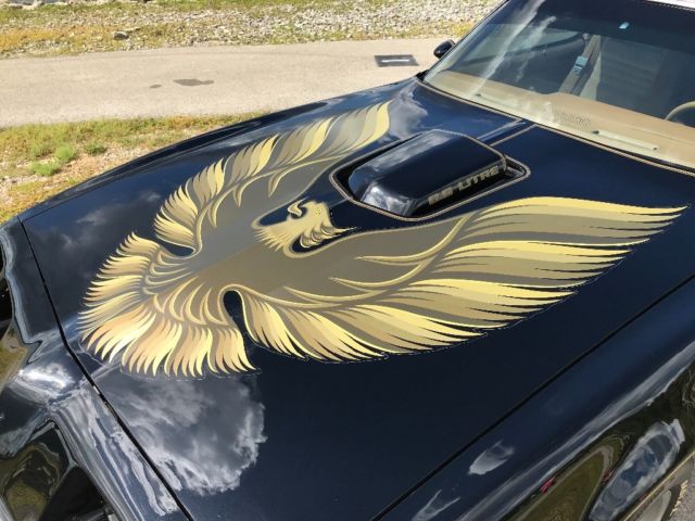 1979 Pontiac Trans Am SE/WS6 - photo 12