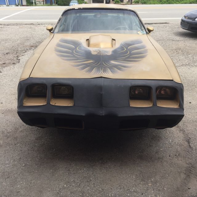 1979 Pontiac Trans Am Firebird