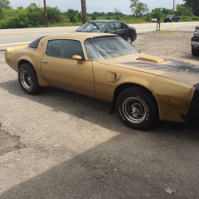 1979 Pontiac Trans Am Firebird - photo 2