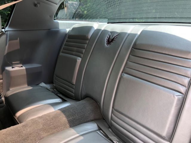 1979 Pontiac Trans Am Silver Anniversary Edition - photo 11