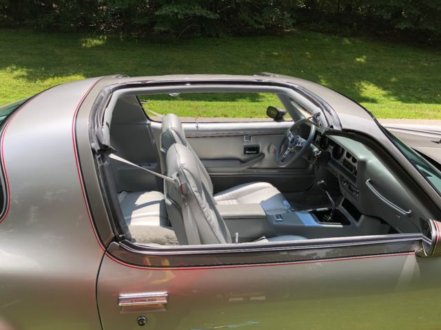 1979 Pontiac Trans Am Silver Anniversary Edition - photo 12