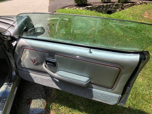 1979 Pontiac Trans Am Silver Anniversary Edition - photo 13