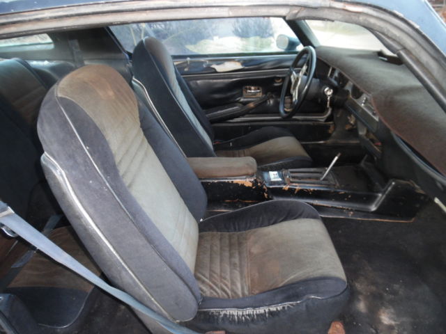 1979 Pontiac Trans Am Smokey And The Bandit SE Addition- - photo 10